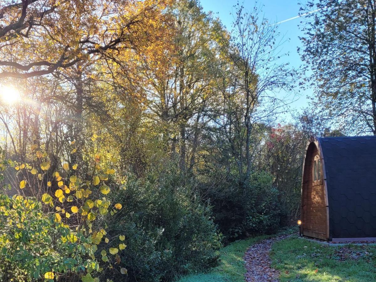 Ferienwohnung PODs Alte Schule Elchweiler Exterior foto