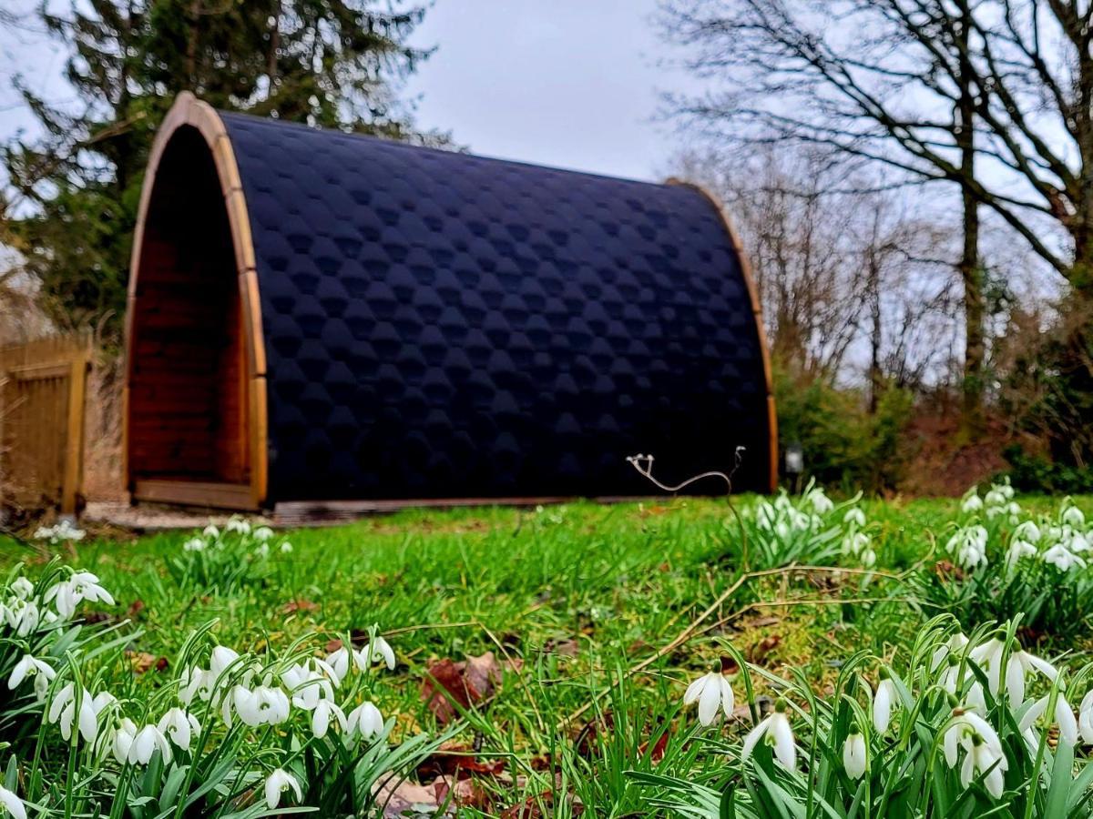 Ferienwohnung PODs Alte Schule Elchweiler Exterior foto