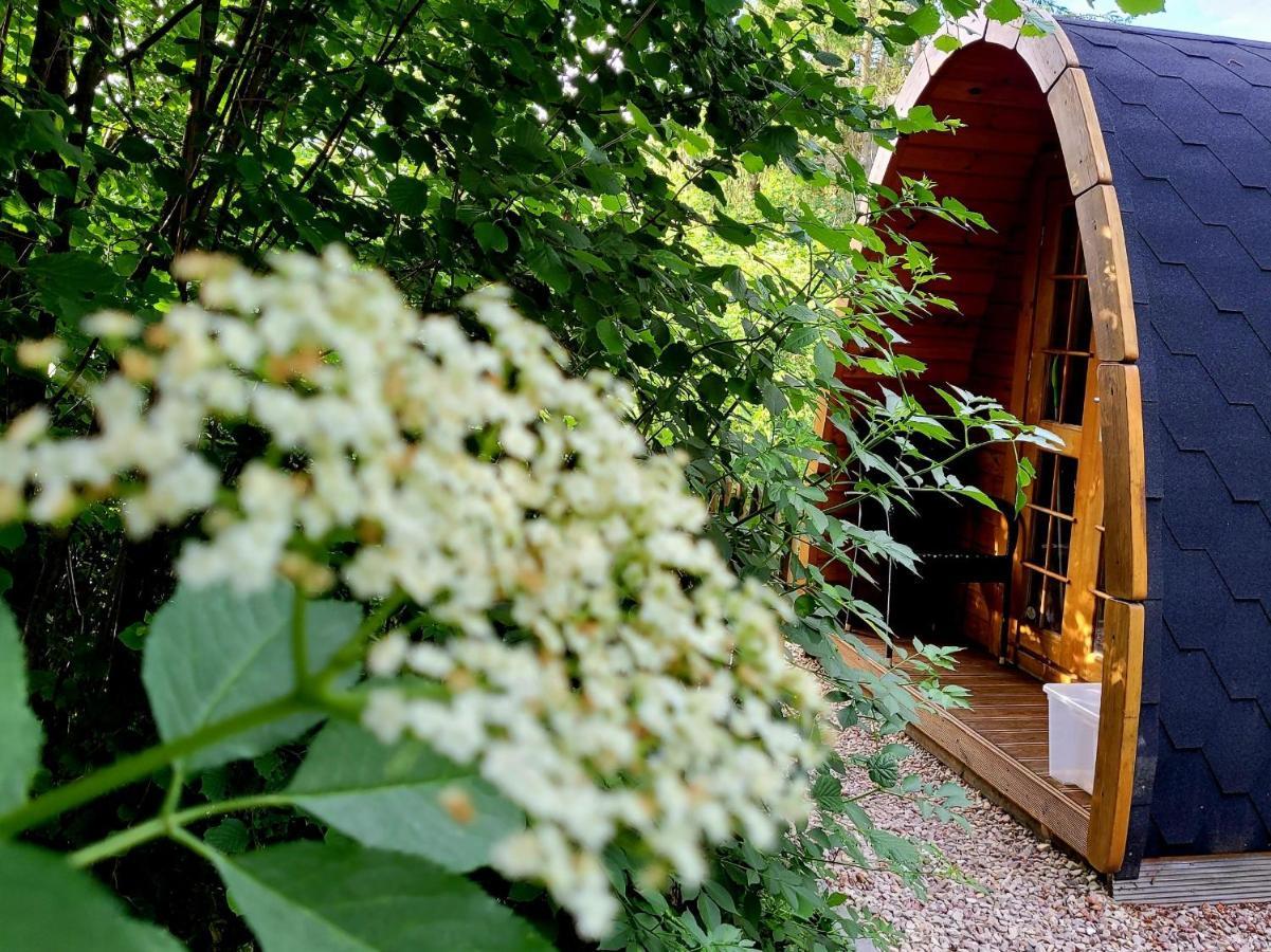 Ferienwohnung PODs Alte Schule Elchweiler Exterior foto